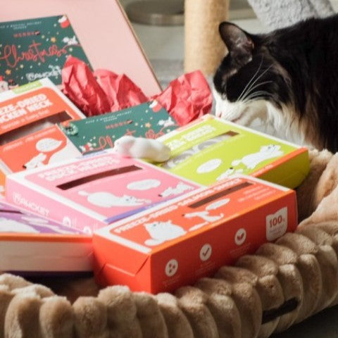 The Benefits of Freeze-Dried Cat Treats: Why Your Feline Deserves the Best