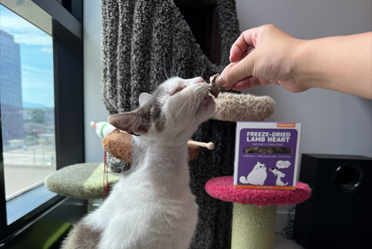 The Best Freeze-Dried Cat Treats for Picky Eaters: A Must-Try List