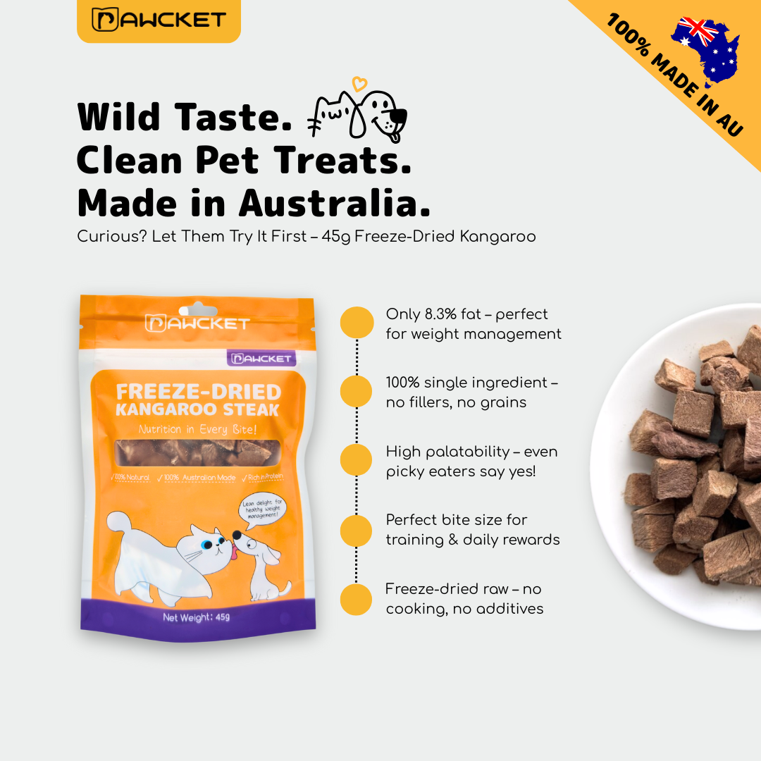 Cat Favourite Starter Bundle – 2025 Limited Edition