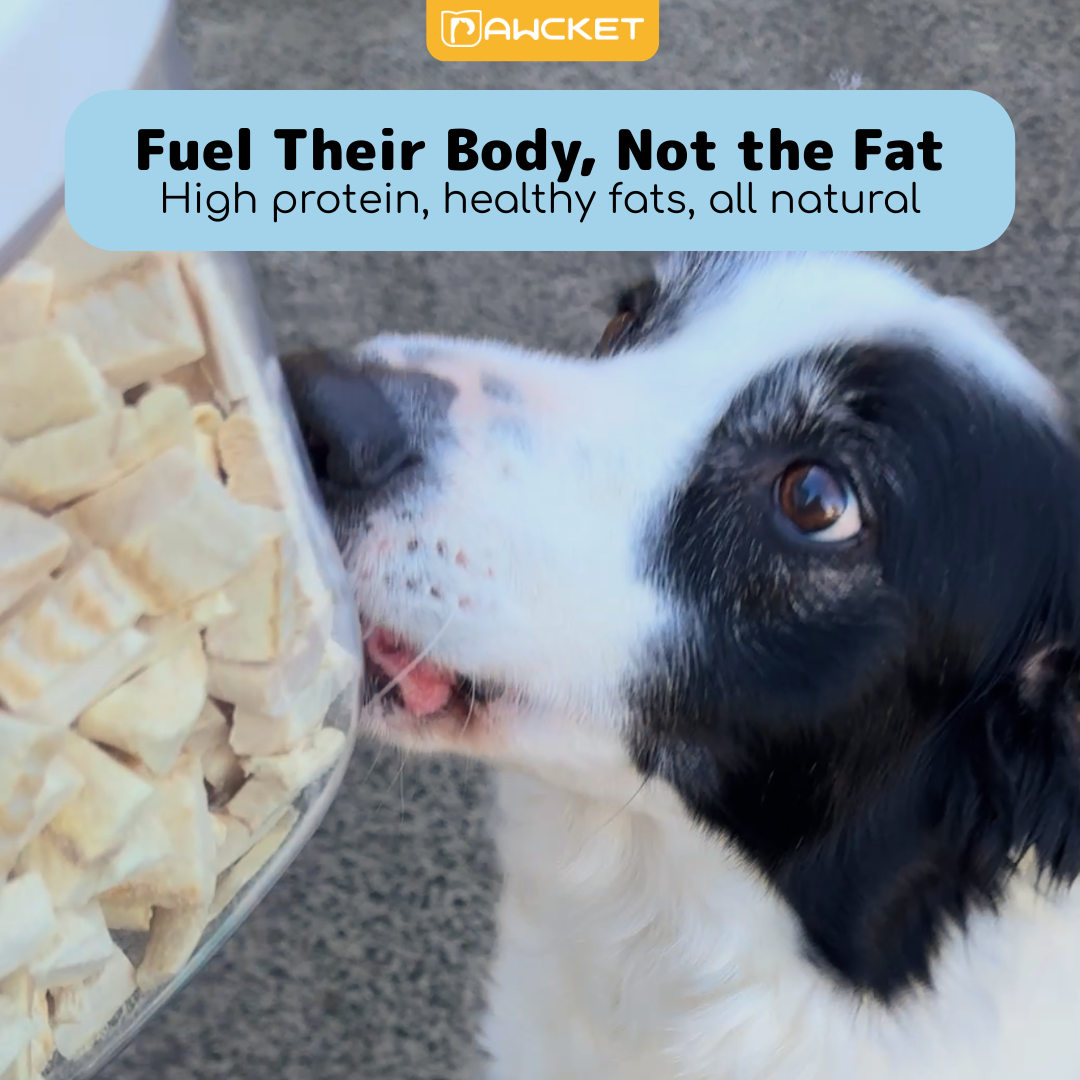 Freeze-Dried Raw Hoki | Dog and Cat Treat