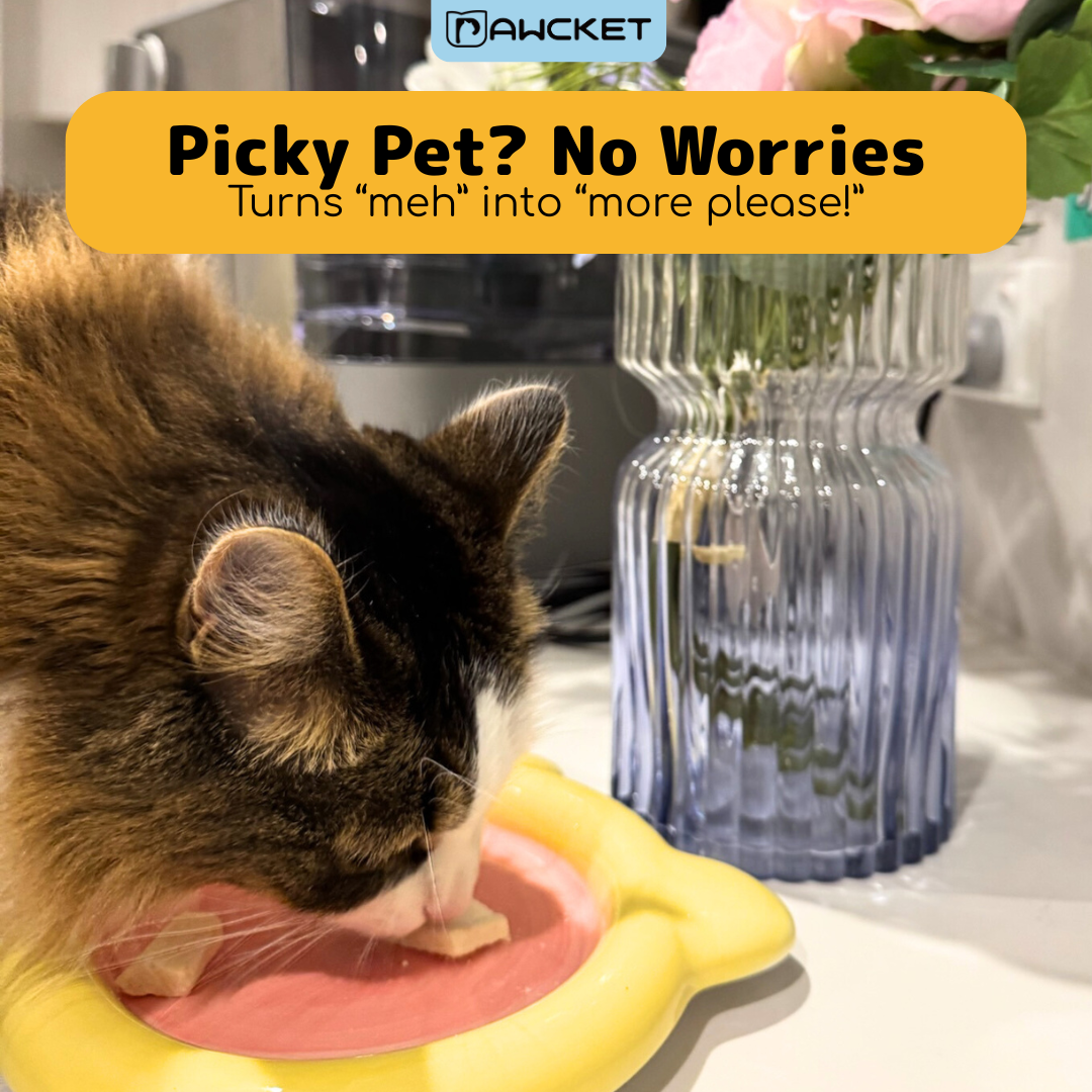 Freeze-Dried Raw Hoki | Dog and Cat Treat
