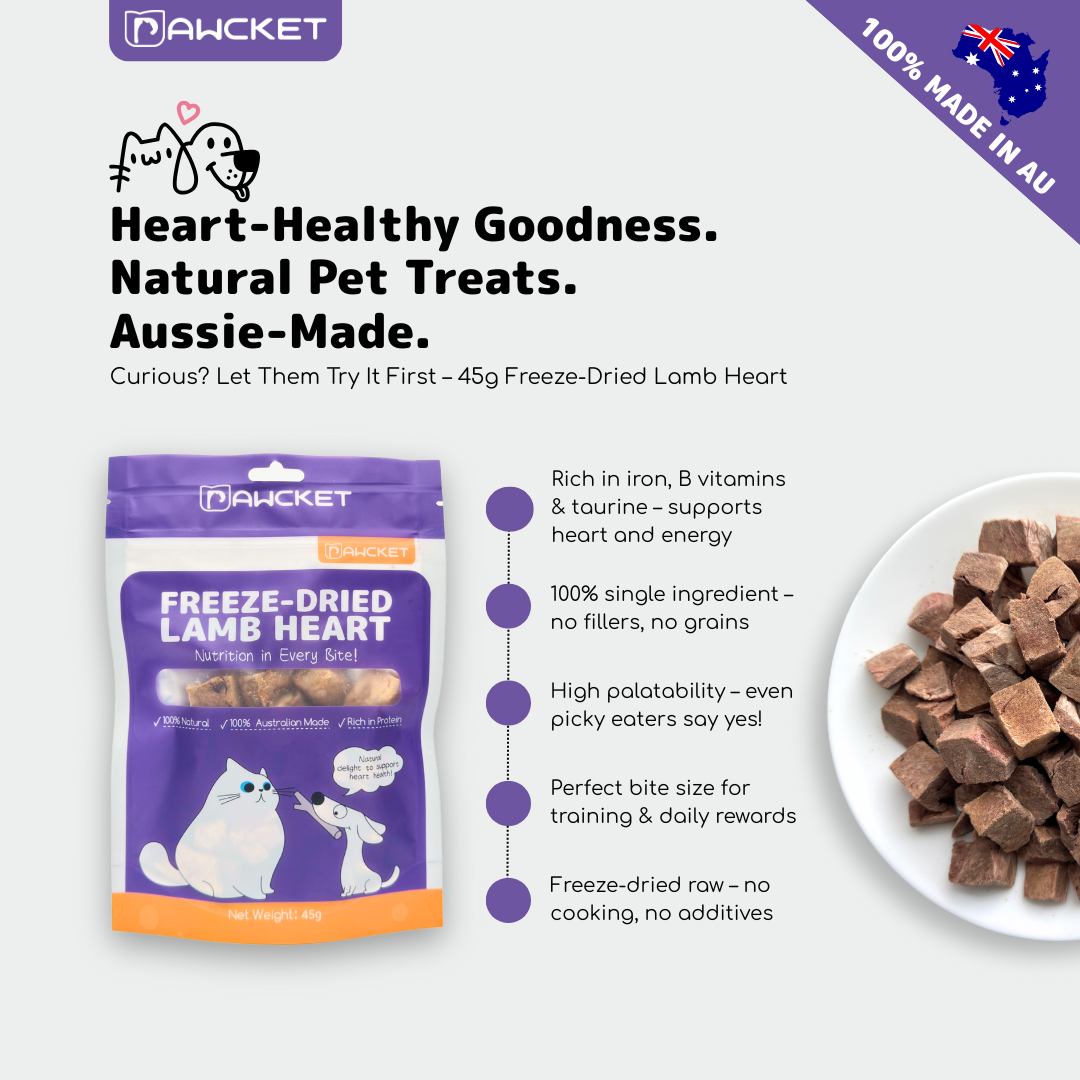 Cat Favourite Starter Bundle – 2025 Limited Edition