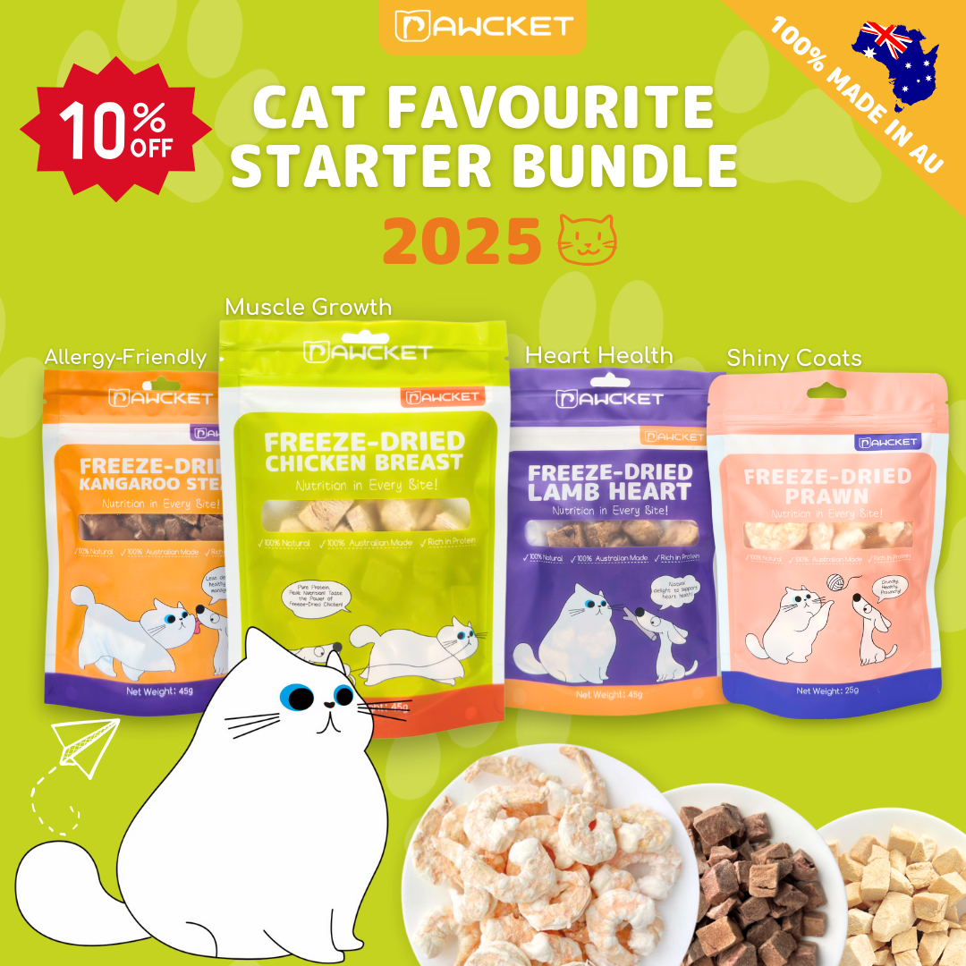 Cat Favourite Starter Bundle – 2025 Limited Edition