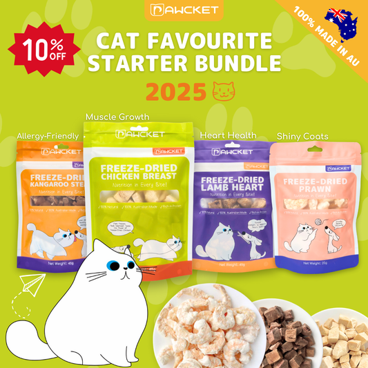 Cat Favourite Starter Bundle – 2025 Limited Edition