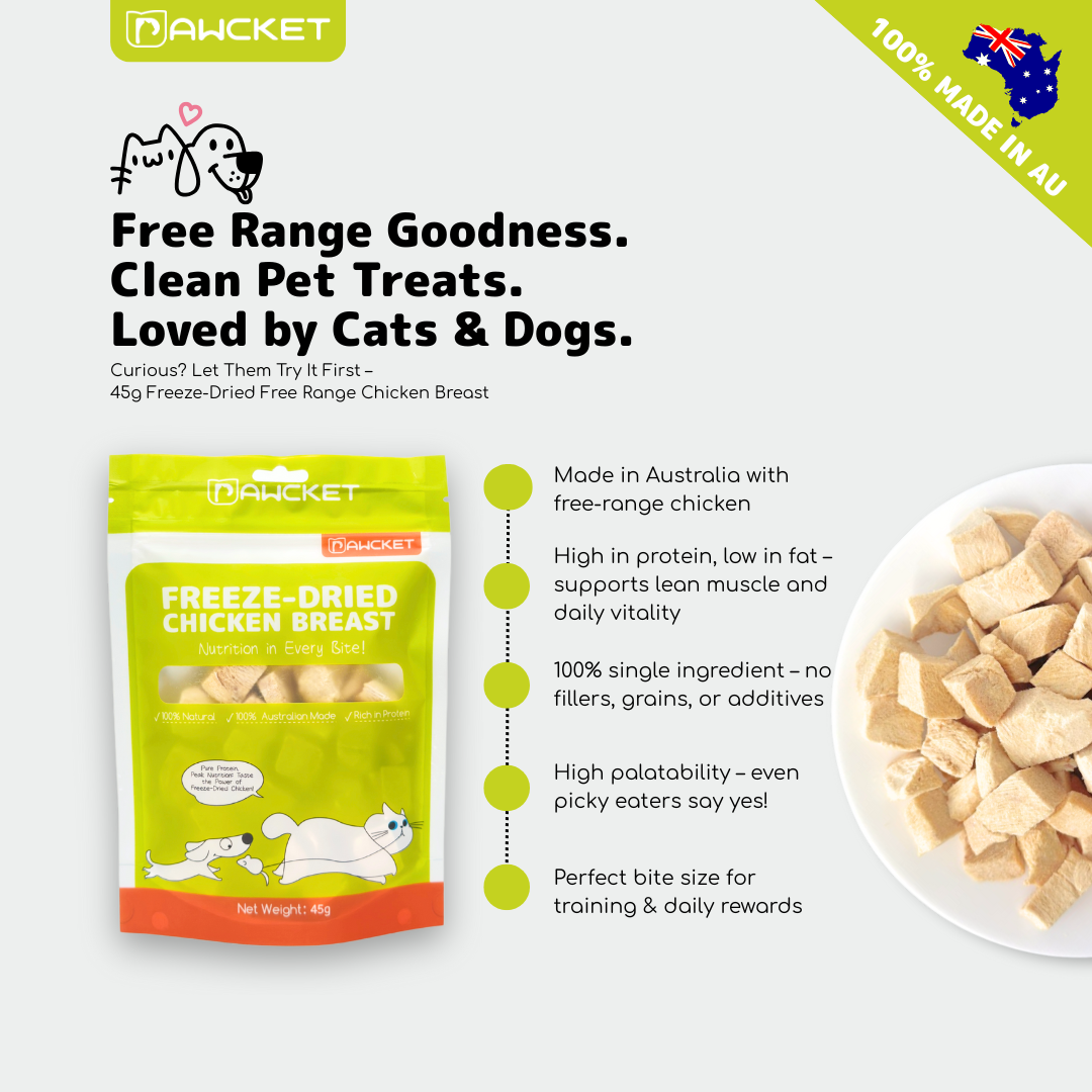 Cat Favourite Starter Bundle – 2025 Limited Edition