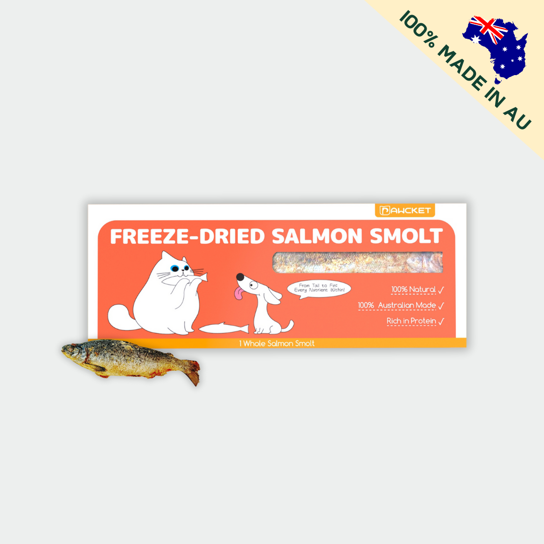 Freeze-Dried Raw Salmon Smolt | Dog and Cat Treat