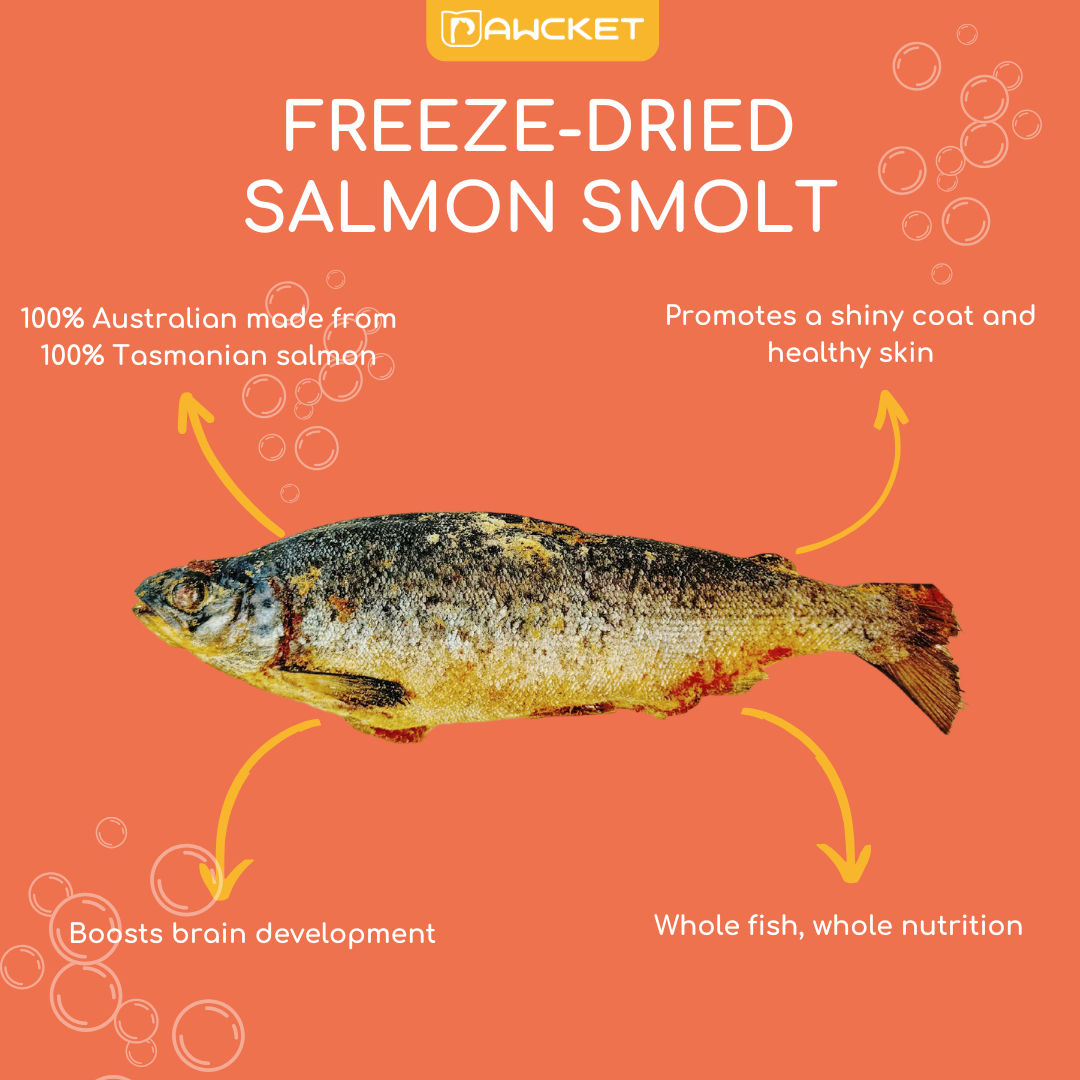 Freeze-Dried Raw Salmon Smolt | Dog and Cat Treat