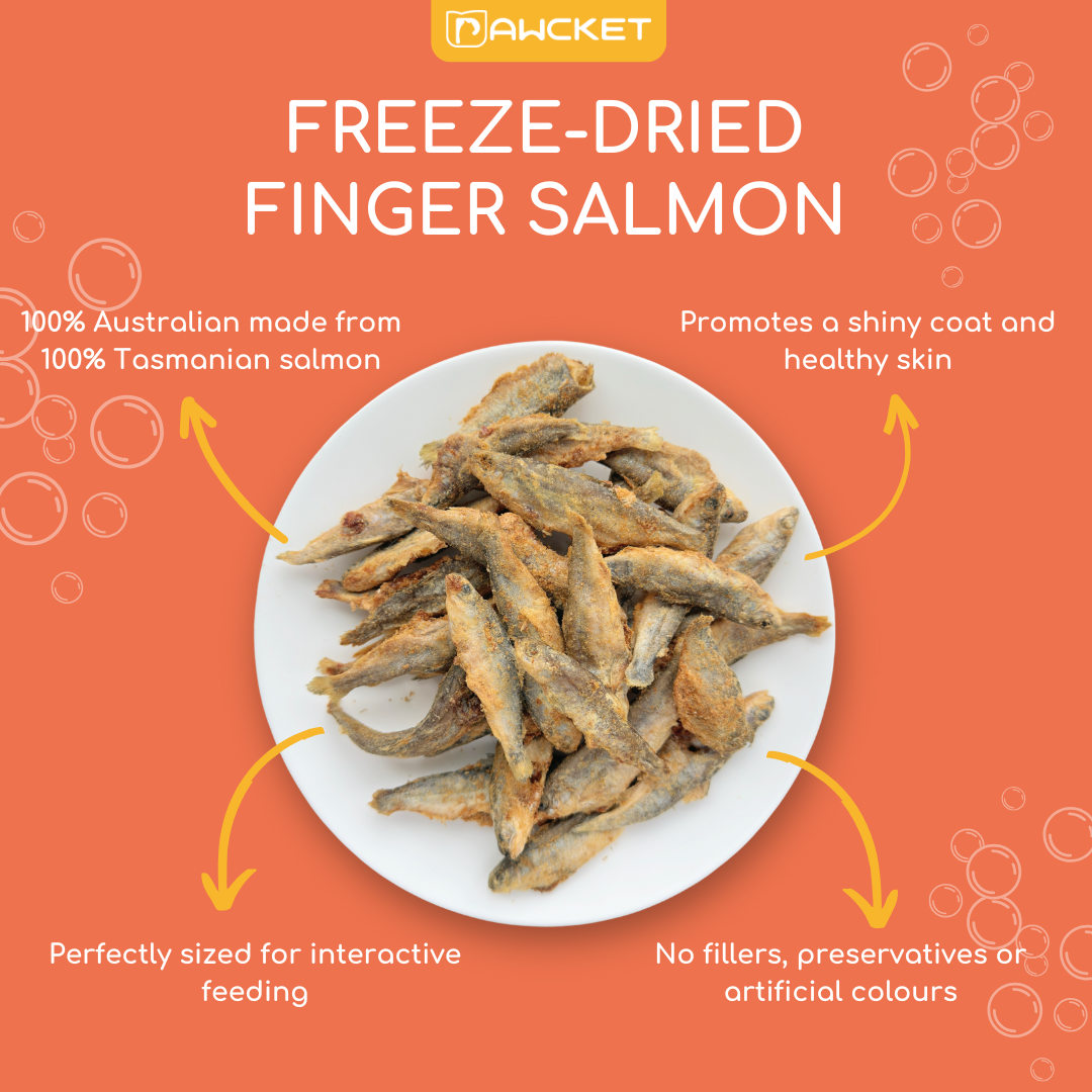 Freeze-Dried Raw Finger Salmon | Dog and Cat Treat
