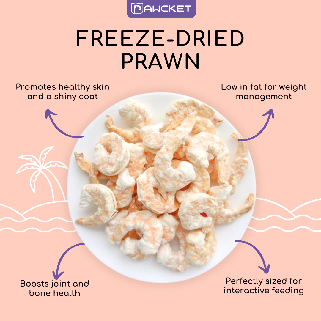 Freeze-Dried Raw Prawn | Dog and Cat Treat
