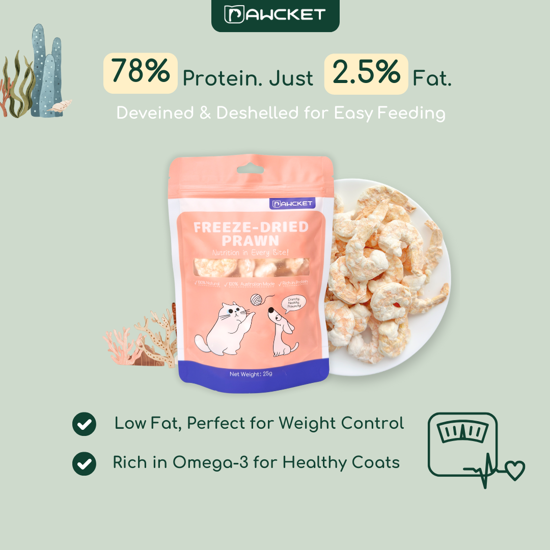 Freeze-Dried Raw Prawn | Dog and Cat Treat