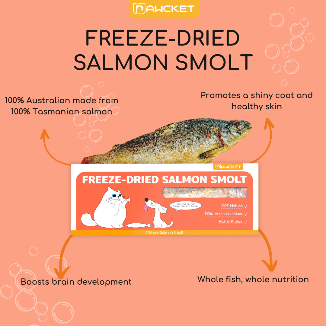 Freeze-Dried Raw Salmon Smolt | Dog and Cat Treat
