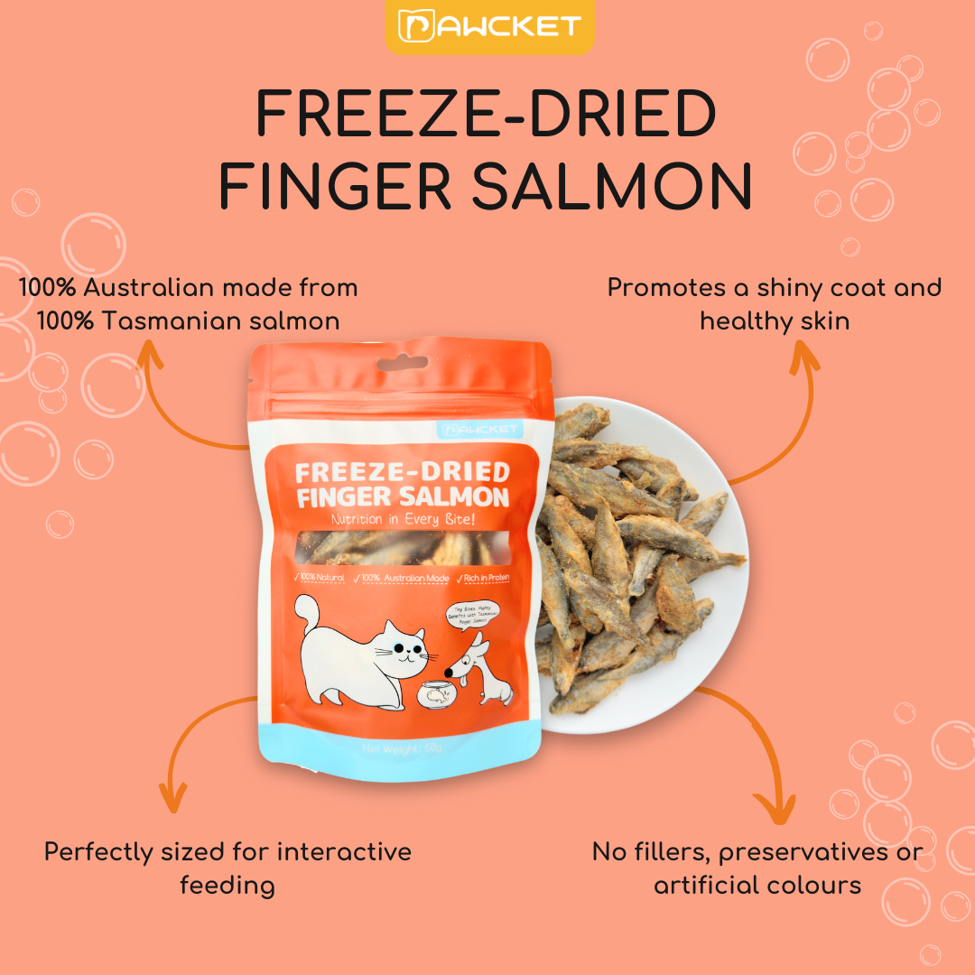 Freeze-Dried Raw Finger Salmon | Dog and Cat Treat