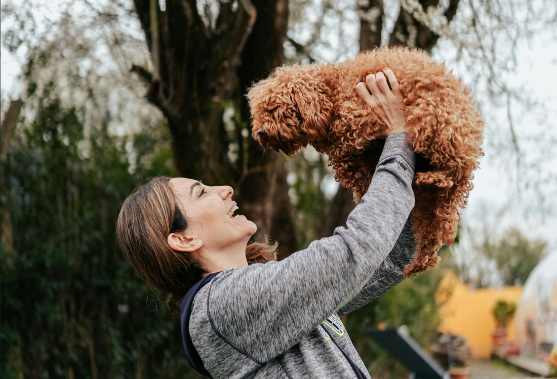 Why Your Pet Deserves Premium Australian Treats?