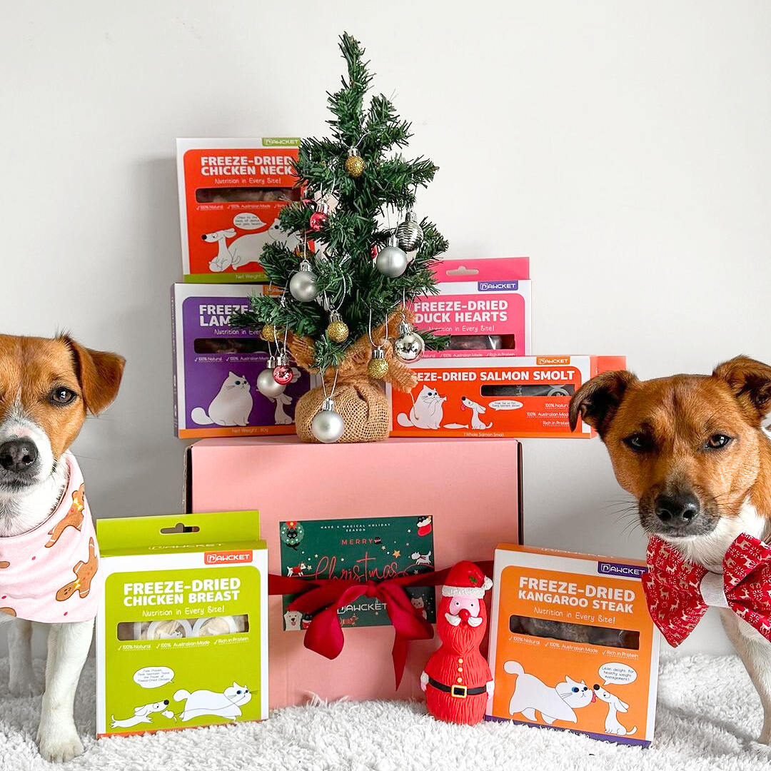 Celebrating Your Pet’s First Christmas: A Beginner’s Guide