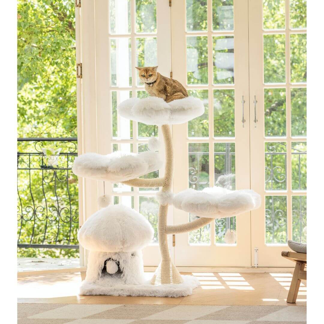 Best Pet Gift Ideas for Fur Father’s Day 2025