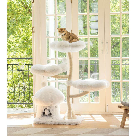 Best Pet Gift Ideas for Fur Father’s Day 2025