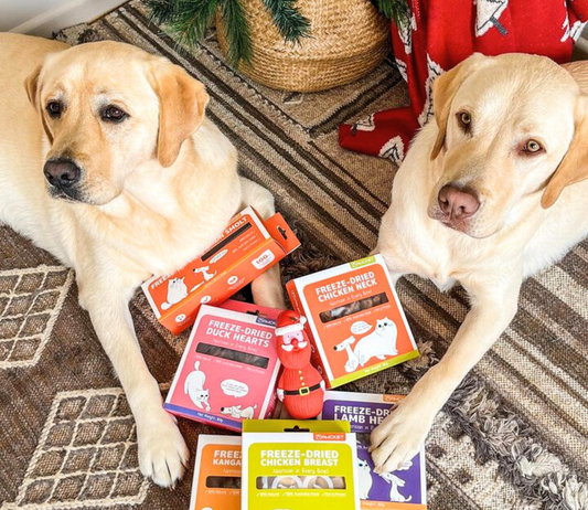 How to Pick the Perfect Christmas Gifts for Your Dogs and Cats