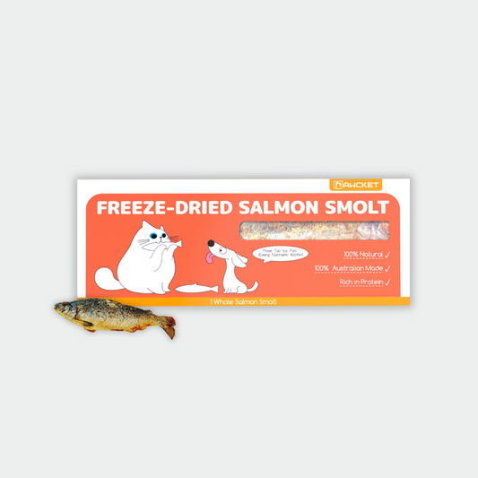 Freeze-Dried Raw Salmon Smolt | Dog and Cat Treat