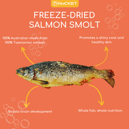 Freeze-Dried Raw Salmon Smolt | Dog and Cat Treat