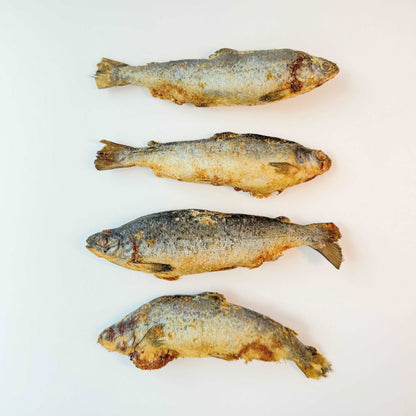 Freeze dried natural salmon smolt | dog training rewarding treats | cat treats | australian made | Pawcket Pet Treats