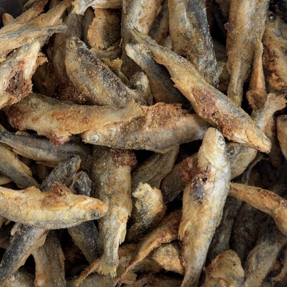 Freeze-Dried Raw Finger Salmon | Dog and Cat Treat