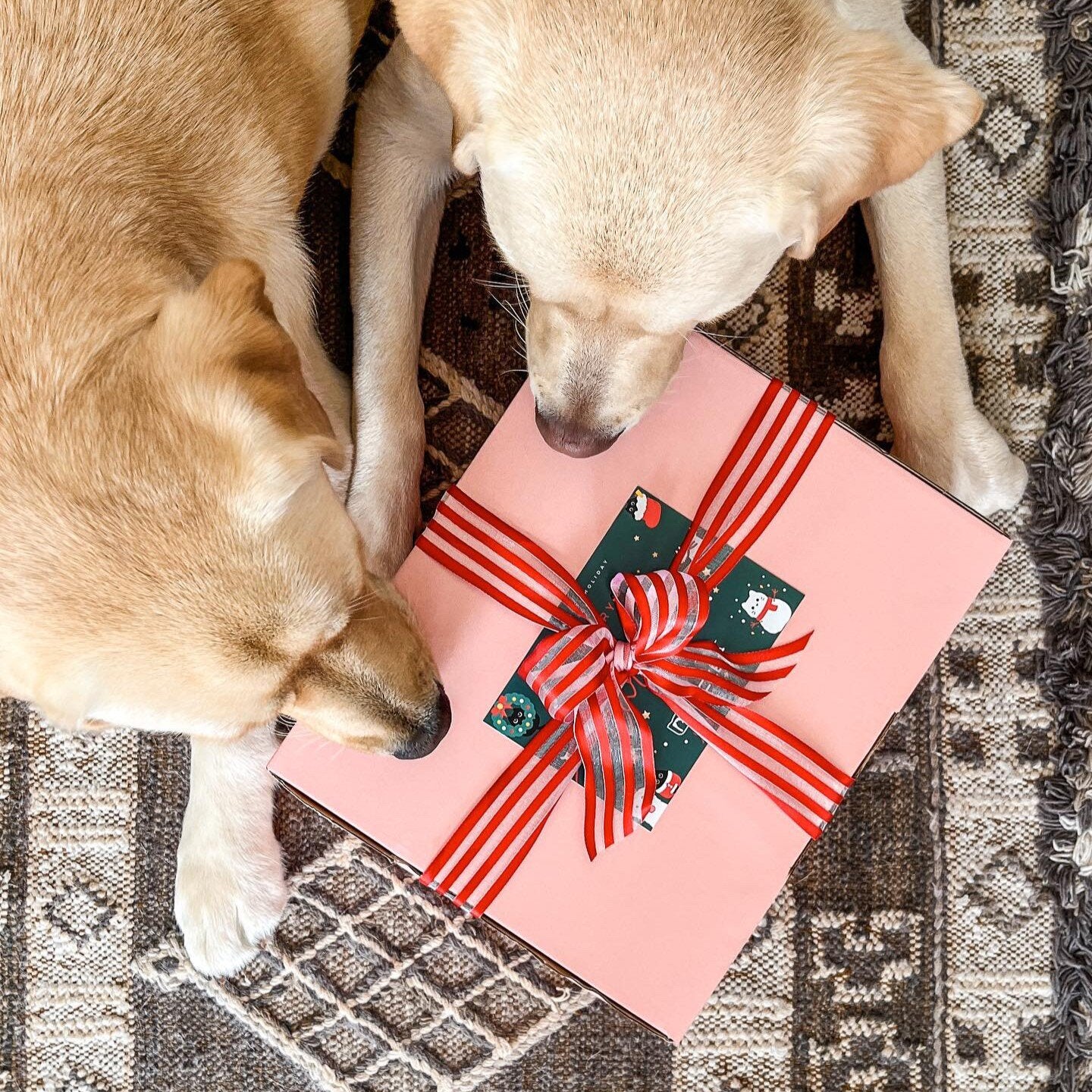 Dog treat | Christmas Xmas gift box for dog | Pawcket Pet Treats