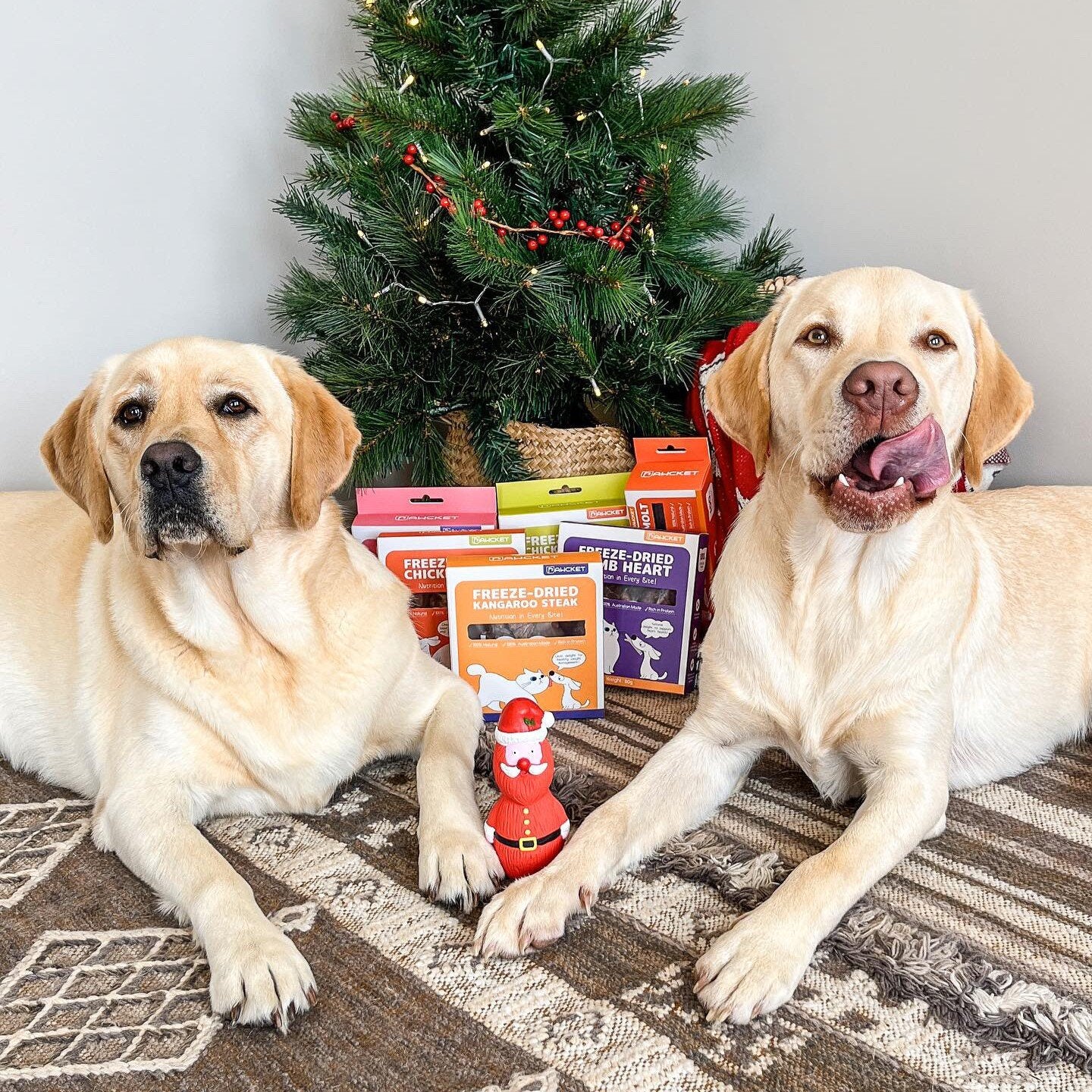 Dog treat | Christmas Xmas gift box for dog | Pawcket Pet Treats