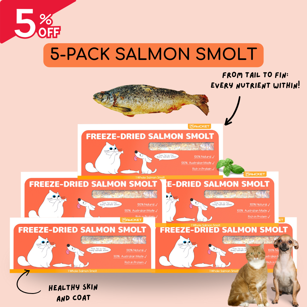 Freeze-Dried Raw Salmon Smolt | Dog and Cat Treat